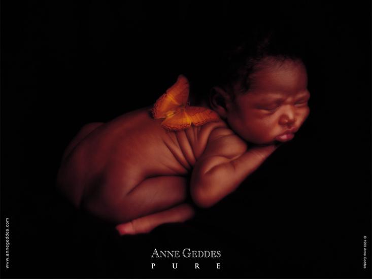 Anne Geddes - Child by Anne Geddes 56.jpg