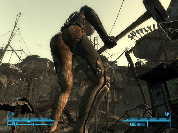 Fallout 3 - ScreenShot1.jpg