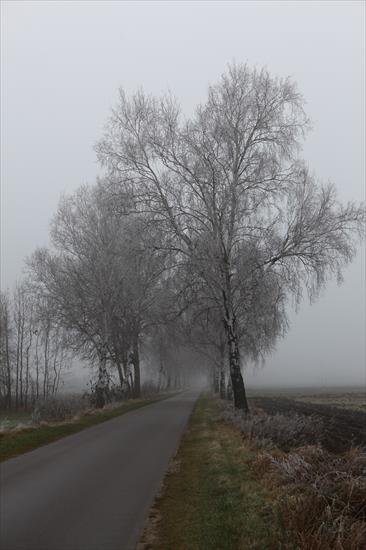 mgła - IMG_0890.JPG